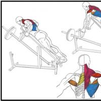 Тяга Т–грифа — эффективное упражнение для мышц спины